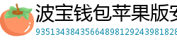 波宝钱包苹果版安装教程